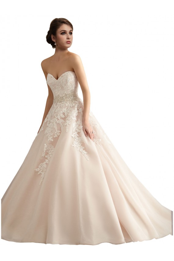 Ivoire & Champagne Princesse Col V Traîne cathédrale Tulle Dentelle Robes de mariée à Vendre