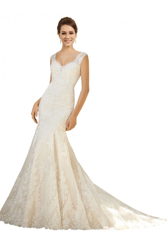 Ivoire & Champagne Sirène Col V Tulle Dentelle Robes de mariée à Vendre