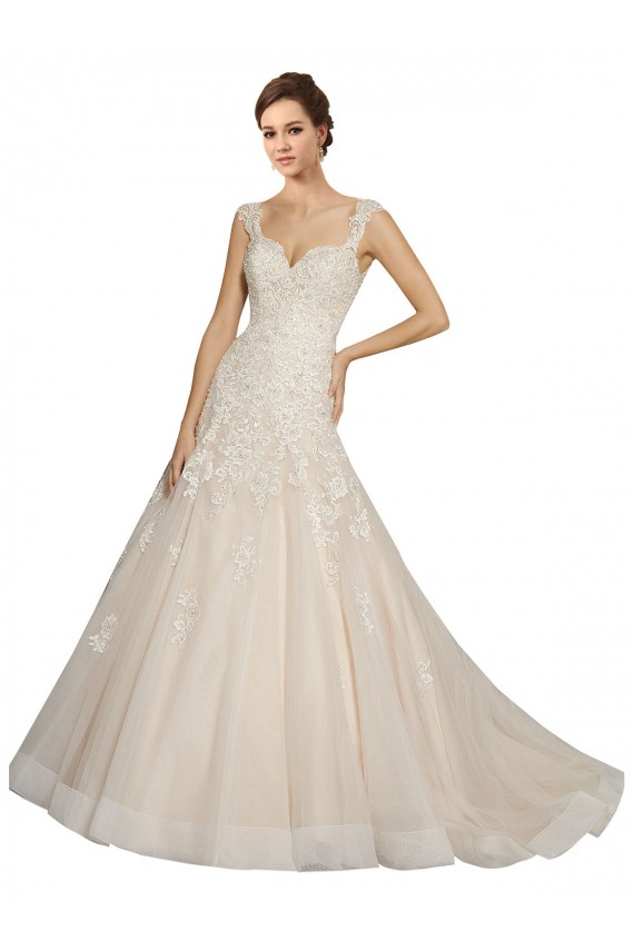 Ivoire & Champagne Sirène Tulle Dentelle Robes de mariée à Vendre